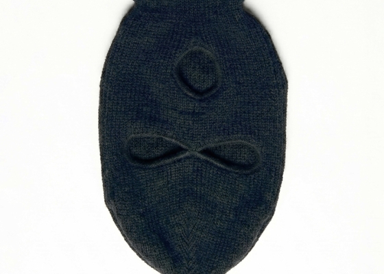 United Stealers Of Assets